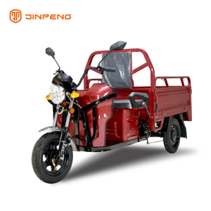Mini Cargo Passsenger Electric Tricycle-TL130